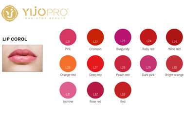 Liquide micro d'encre de colorant d'usine pure pour des couleurs permanentes de lèvres/tatouage 13 de maquillage