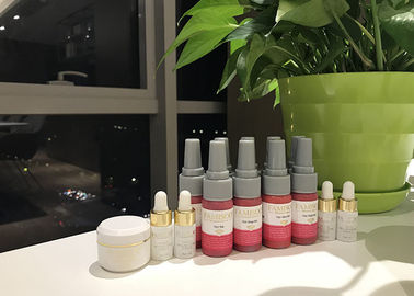 Chic de luxe - kit permanent de maquillage de lèvres de maquillage de colorant pur de liquide d'usine