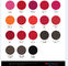 Colorez l'encre micro positive de colorant pour des lèvres/sourcil/eye-liner 19 couleurs facultatives